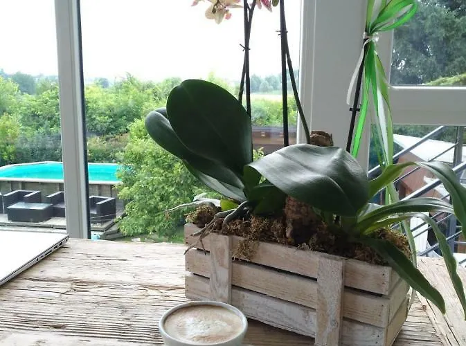 Дом отдыха Su Misura Molini (Veneto)